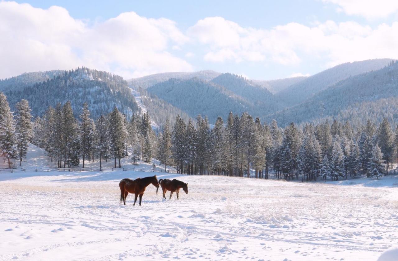 Riverview Ranch Alberton Exteriér fotografie